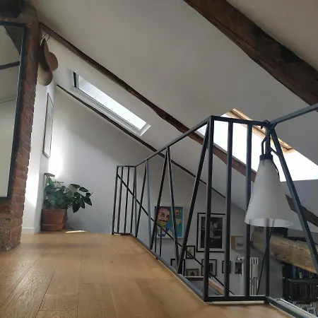 Mavi's Attic